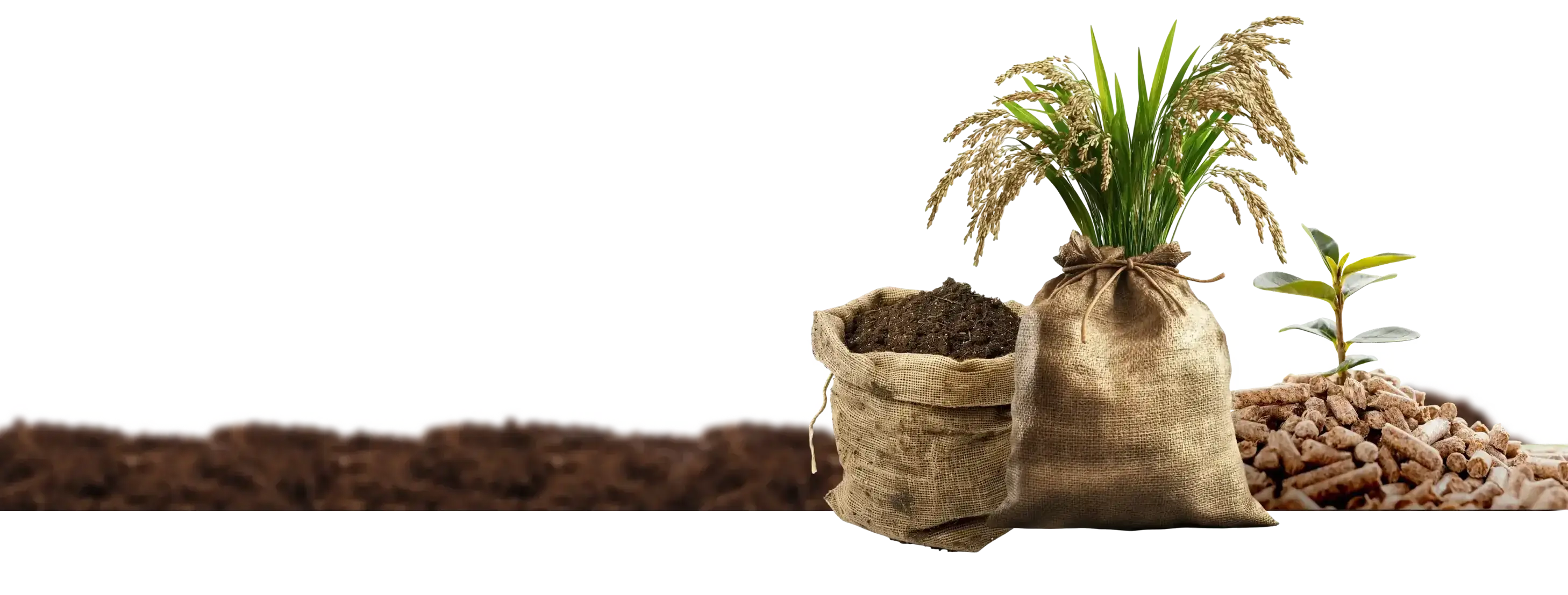 Agricultural Commodities